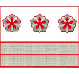 Нарукавные знаки различия 5-й должностной категории старшего состава ОАО «РЖД» образца 2010 года