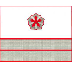 Нарукавные знаки различия 7-й должностной категории старшего состава ОАО «РЖД» образца 2010 года
