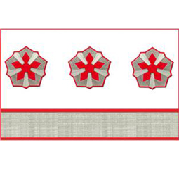 Нарукавные знаки различия 9-й должностной категории среднего состава ОАО «РЖД» образца 2010 года