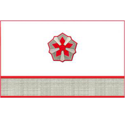 Нарукавные знаки различия 11-й должностной категории среднего состава ОАО «РЖД» образца 2010 года
